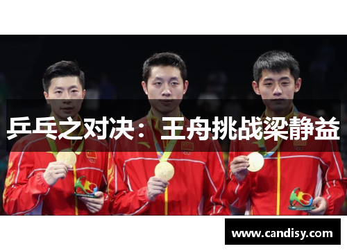 乒乓之对决：王舟挑战梁静益